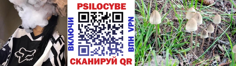 Галлюциногенные грибы Psilocybine cubensis blacksprut Новоржев